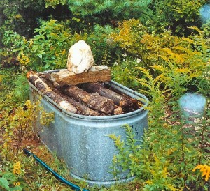 Water-Innoculation